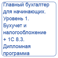 Главный бухгалтер для начинающих. Уровень 1. Бухучет и налогообложение 2025 + 1С 8.3.